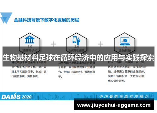 生物基材料足球在循环经济中的应用与实践探索